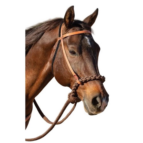 Professional choice loping - choice,