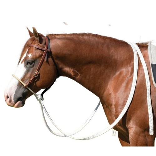 Professional choice loping - choice,