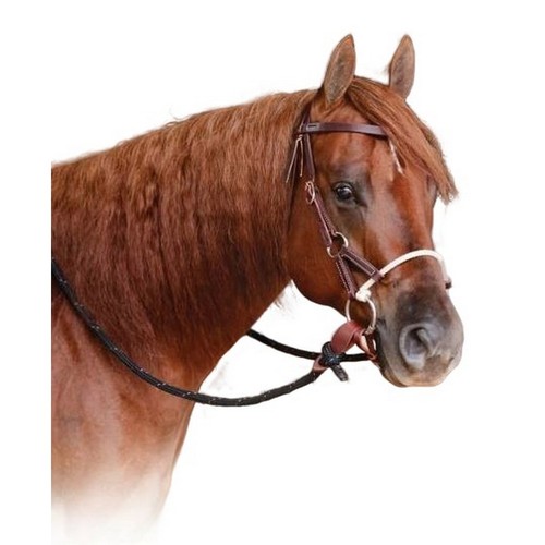 Professional choice ranch - choice,